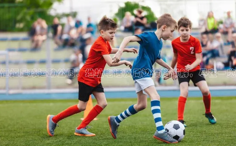 ng28相信品牌的含义中文在线恒炬足球运动公园：地址电话及周边设施详解，尽在一览