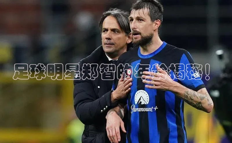 ng娱乐电子游戏官网雷柏科技足球明星郑智的年龄揭秘！