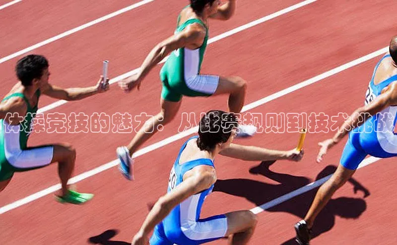 NG体育·南宫官方网站百度数据开放平台体操竞技的魅力：从比赛规则到技术挑战