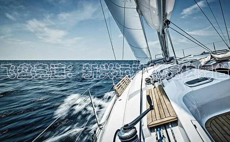 NGNG28官网登录颐驰 06飞盘竞速：新兴运动的竞技舞台