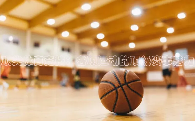 南宫28娱乐官网京东顶尖体育竞技：各项运动的顶级赛事魅力