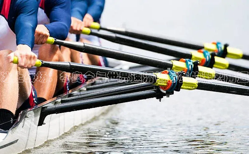 冰上战场：冬奥会与世界速滑锦标赛的激烈角逐