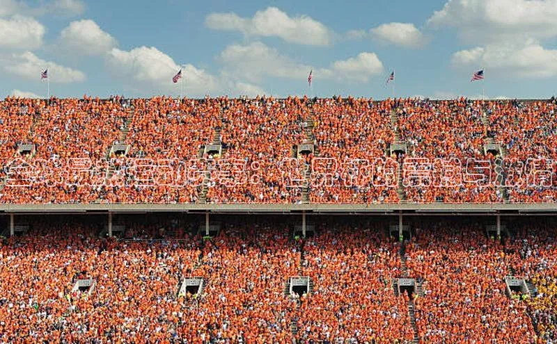 全球最热运动赛事：世界杯的震撼与激情