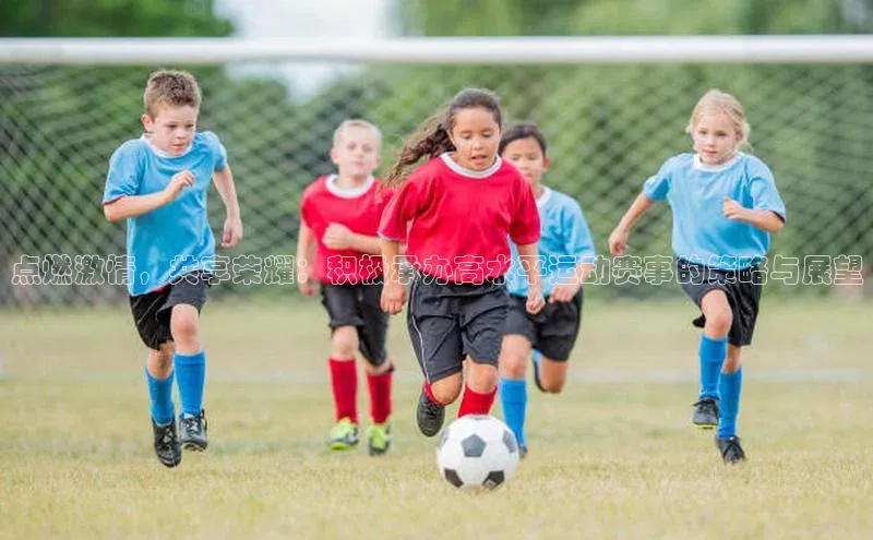 点燃激情，共享荣耀：积极承办高水平运动赛事的策略与展望