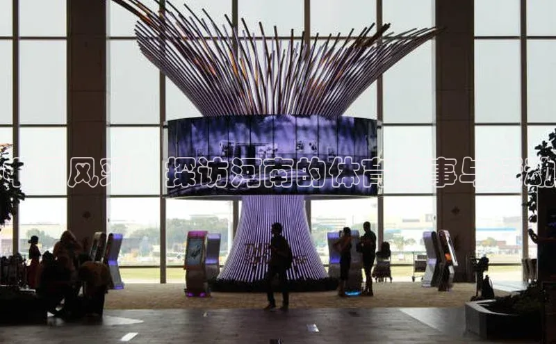 中原风采：探访河南的体育盛事与活动