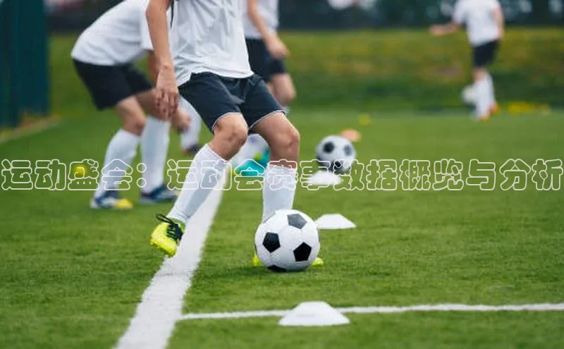 运动盛会：运动会赛事数据概览与分析