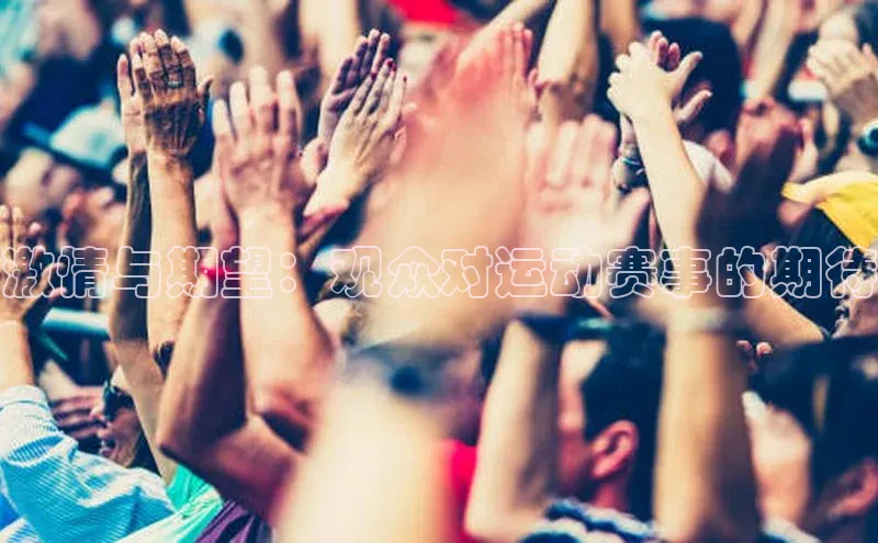 激情与期望：观众对运动赛事的期待