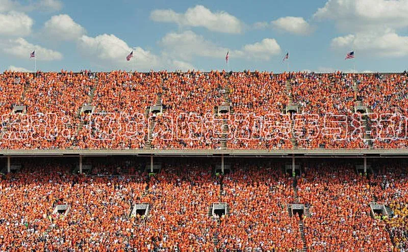 燕郊：区域内的运动赛事与活动