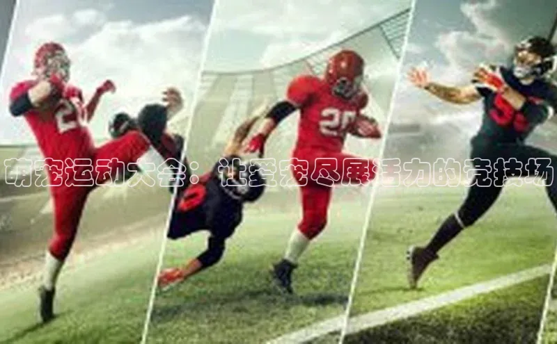 ng28南宫娱乐平台下载