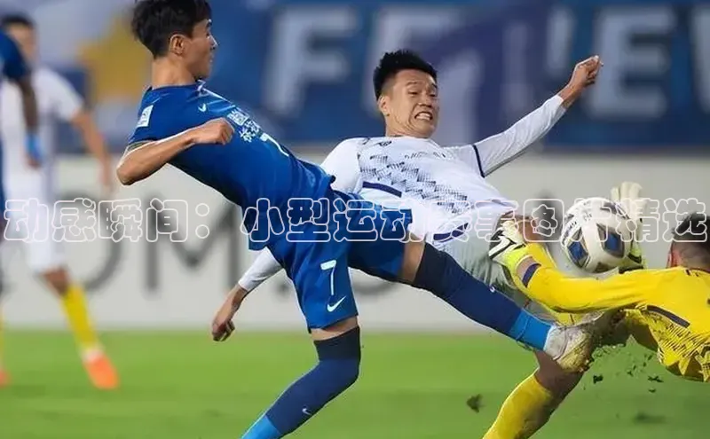 ng南宫国际app入口注册