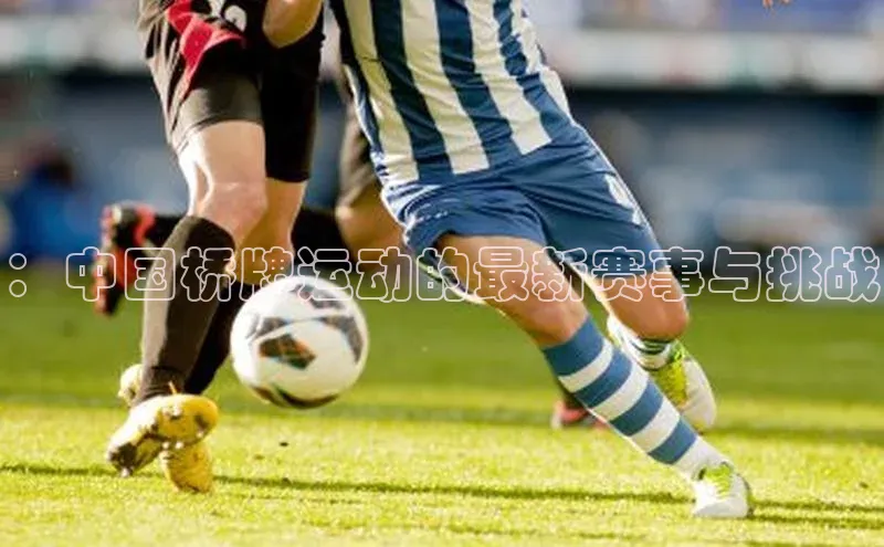 ：中国桥牌运动的最新赛事与挑战